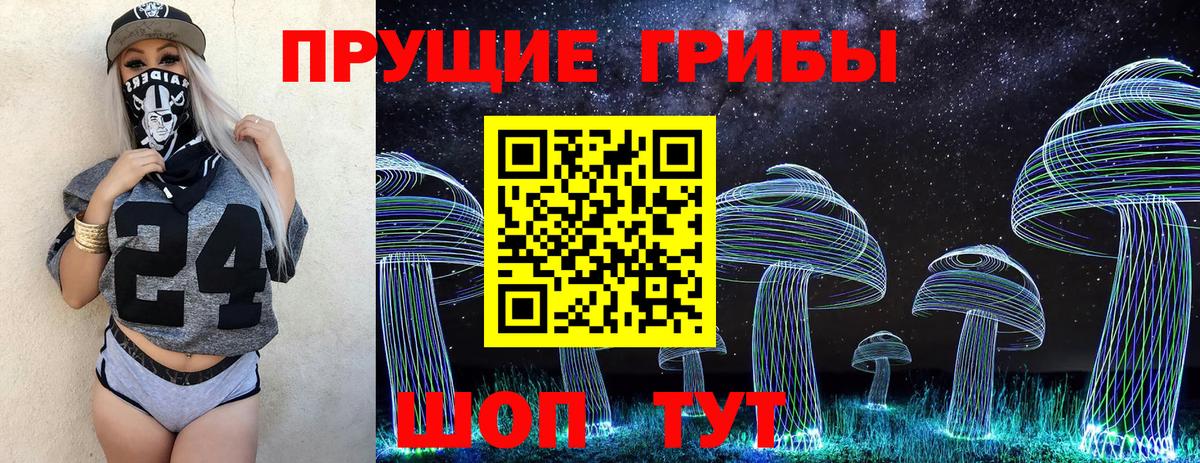 Псилоцибиновые грибы GOLDEN TEACHER Нововоронеж