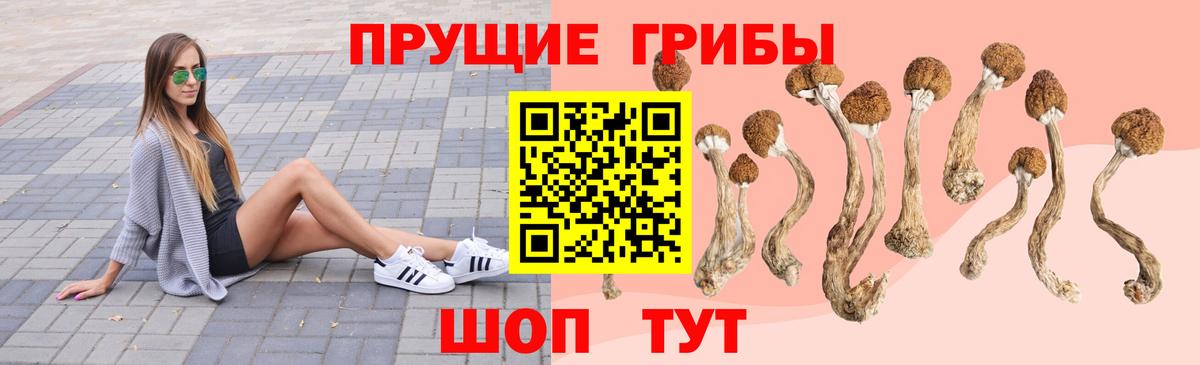 где купить наркоту  Галлюциногенные грибы прущие грибы  Нововоронеж  Вход с VPN  Псилоцибиновые грибы MAGIC MUSHROOMS 